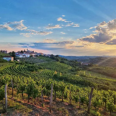 Apartma Vrtnica 5th Floor Nova Gorica