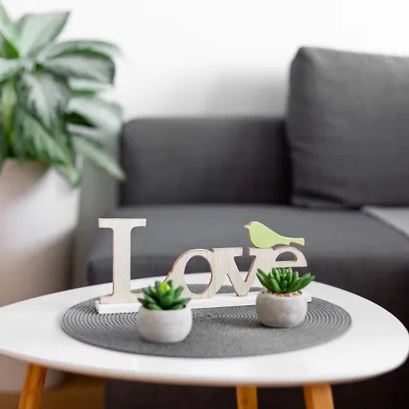 Apartma Vrtnica 5th Floor * נובה גוריקה