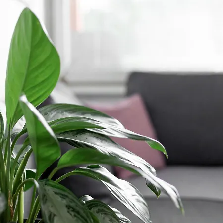 Apartma Vrtnica 5th Floor Nova Gorica