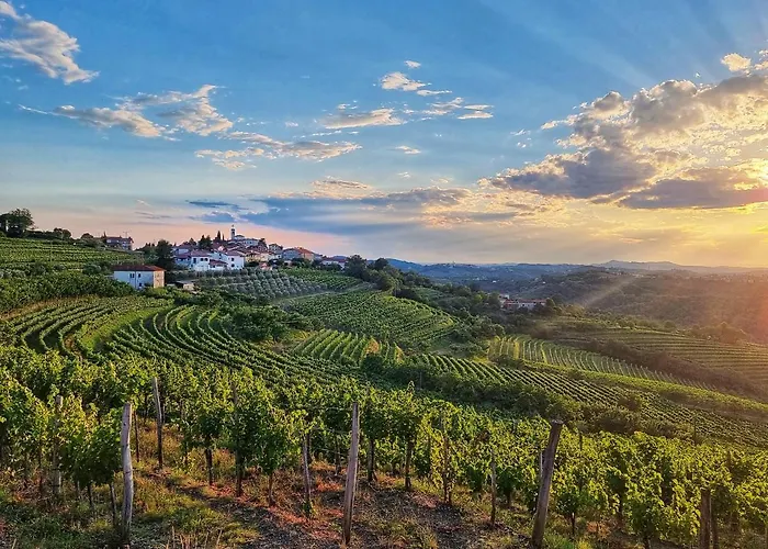 Apartma Vrtnica 5th Floor Nova Gorica