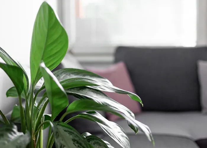 Apartma Vrtnica 5th Floor Nova Gorica