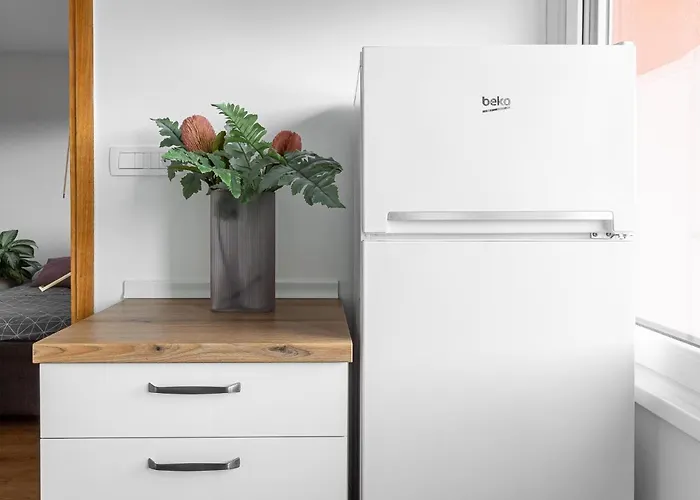 Apartma Vrtnica 5th Floor * Nova Gorica